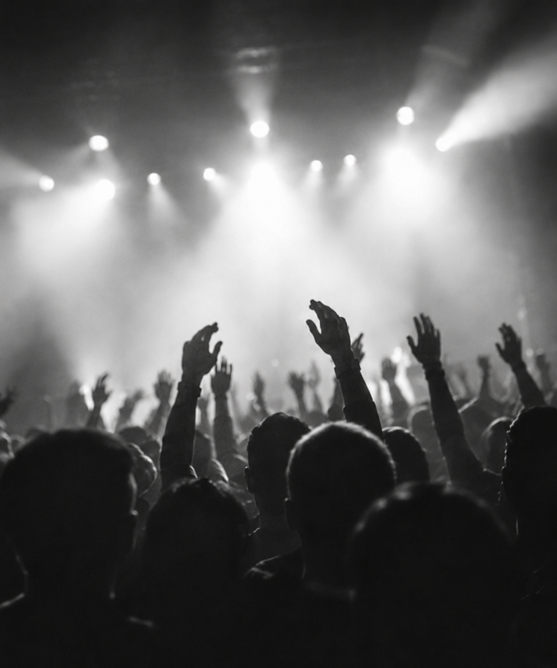 Live concert crowd under lights
